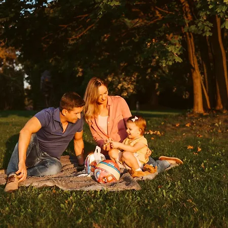 ホテル Dwor W Tomaszowicach 3*