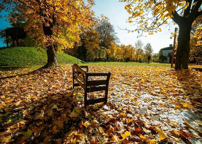 Dwór W Tomaszowicach 3*