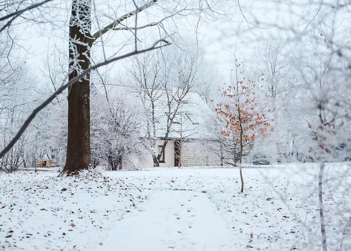 Dwór W Tomaszowicach 3*