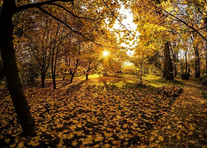 Hotel Dwór W Tomaszowicach