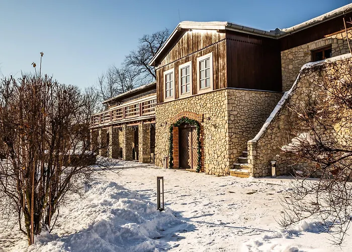 Hotel Dwór W Tomaszowicach