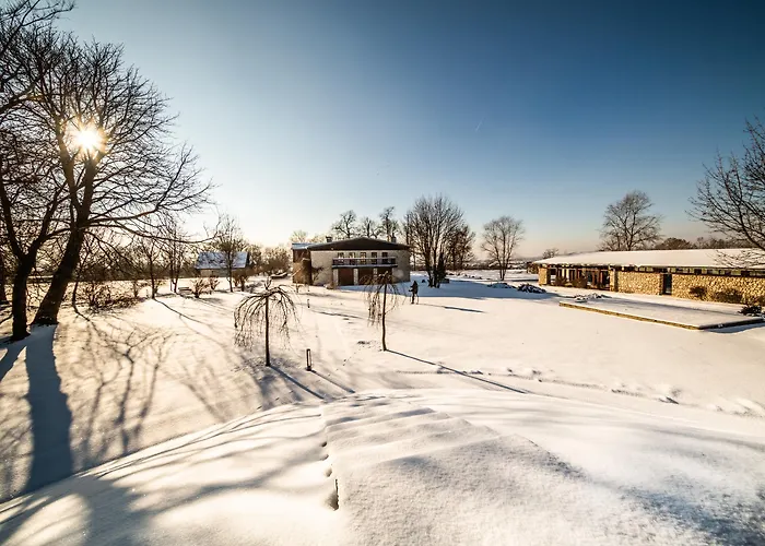 Hotel Dwór W Tomaszowicach